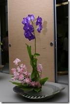 выставка икебана школы Сагагорю 2009 (Киото, Дайкакудзи) 